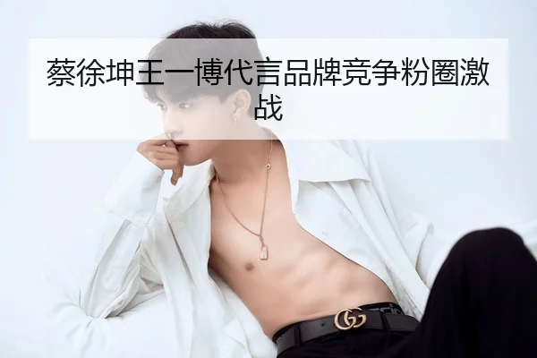 蔡徐坤王一博代言品牌竞争粉圈激战